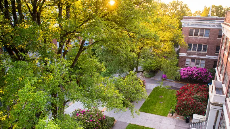 Ariel view of a courtyard on campus with trees and flower bushes on a sunny day