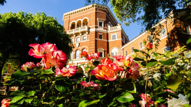 Rose bushes with Weatherford Hall in the background on a clear sunny day
